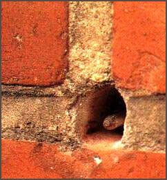 100033_23.jpg