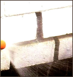 100043_24.jpg