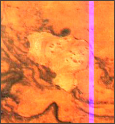 100044_74.jpg