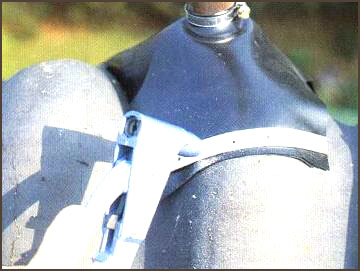 100047_14.jpg