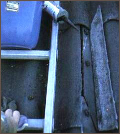 100057_15.jpg