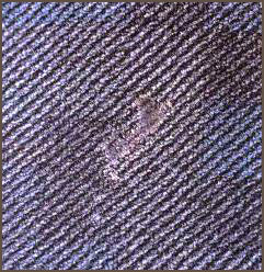 100062_46.jpg