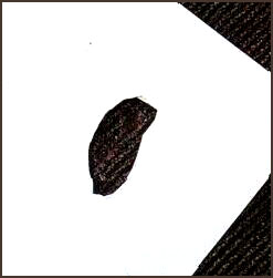 100063_46.jpg