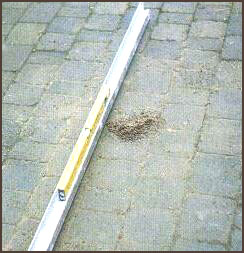 100077_47.jpg