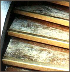 100092_89.jpg