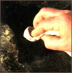 100102_50.jpg