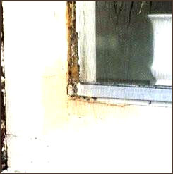 100104_30.jpg