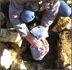 100106_50.jpg